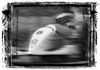 Formula One